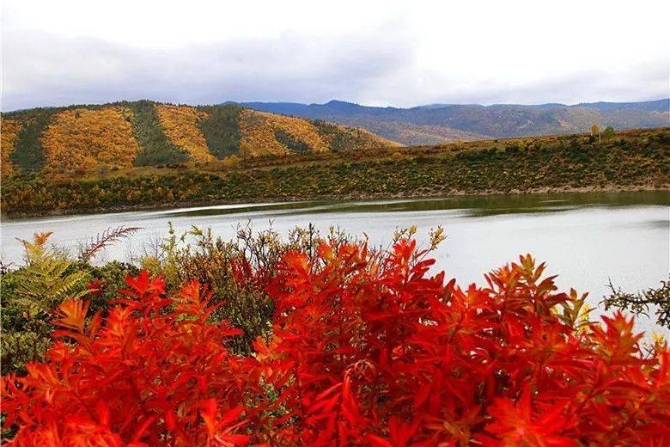 895c0bf51c1c405892813a8335f79c87 895c0bf51c1c405892813a8335f79c87