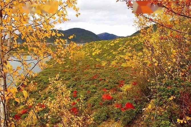 fa0e58000e5f4d199474140fcb7382f1 fa0e58000e5f4d199474140fcb7382f1