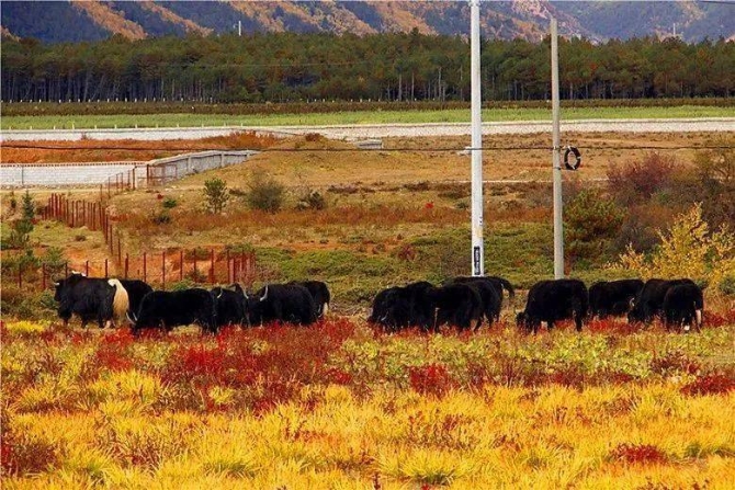 b03258bd9a0345be9443180ecbf2d5b6 b03258bd9a0345be9443180ecbf2d5b6