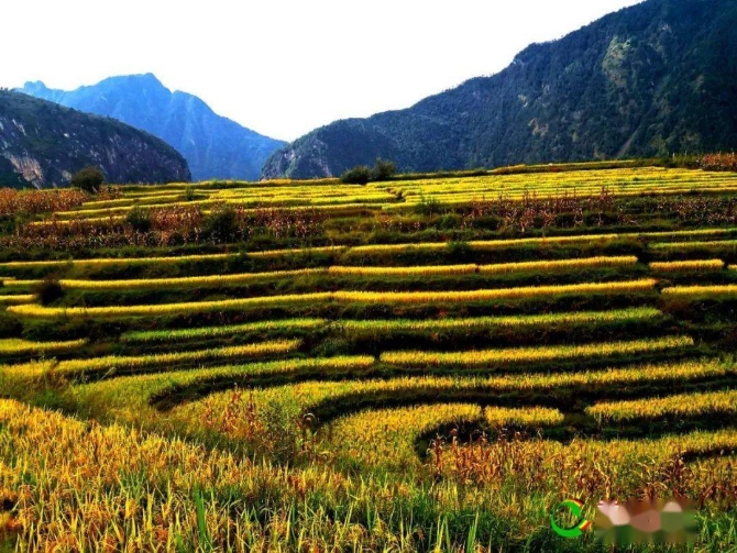 b96db0defcf5420fa8f3478e1740414d b96db0defcf5420fa8f3478e1740414d