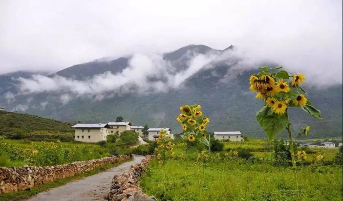 df1b1af5dd8843e9bb5d505b34c90fc6 df1b1af5dd8843e9bb5d505b34c90fc6