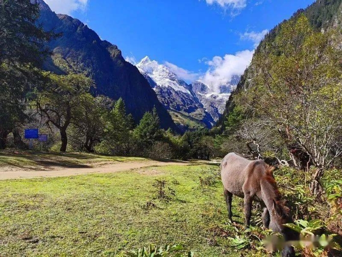 df029a6d2d5e47f99d5ccfa9894a015b df029a6d2d5e47f99d5ccfa9894a015b