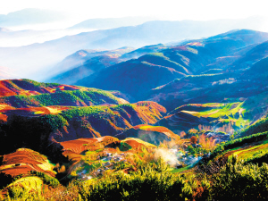 79201637688121045 79201637688121045