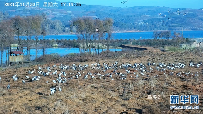 1310329407_16377166098171n