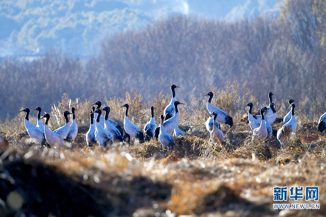 1310329407_16377166099331n