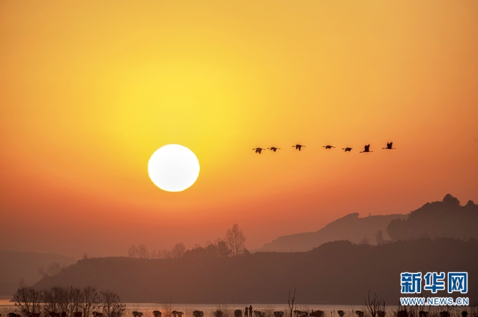 1310329407_16377166100681n