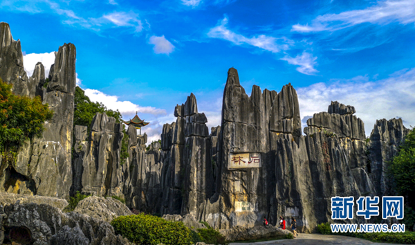 W020211129402056775792 W020211129402056775792