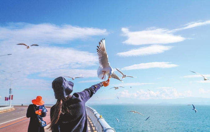 1198b6ed-a48b-4cdc-817f-71168e486ffb.jpg 1198b6ed-a48b-4cdc-817f-71168e486ffb.jpg