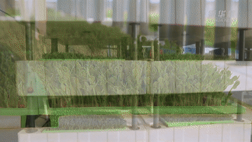 1211468240_16382779616471n