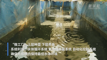 1211468240_16382779616441n