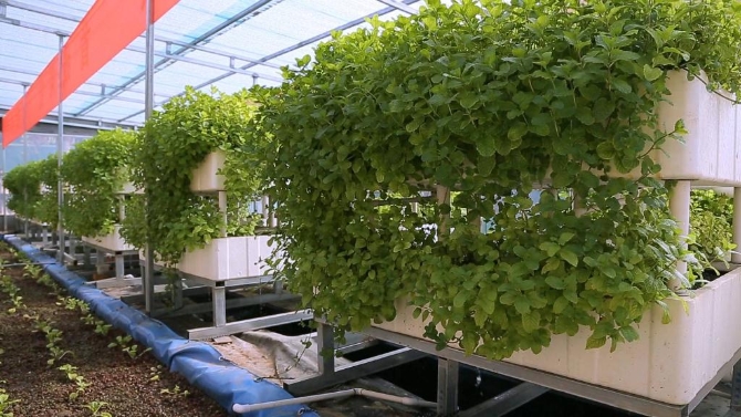 1211468240_16382779616461n