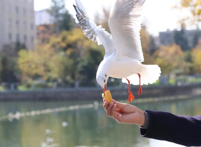 640.webp (6) 640.webp (6)