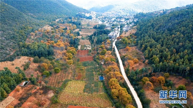 1310344331_16384062671231n