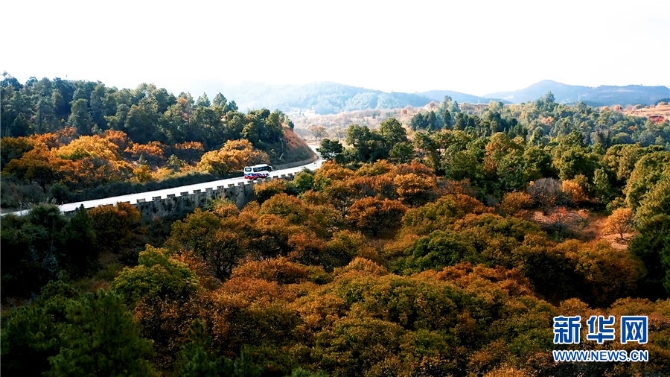 1310344331_16384062672591n