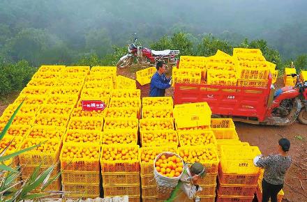 00304322404_62e58efb 00304322404_62e58efb