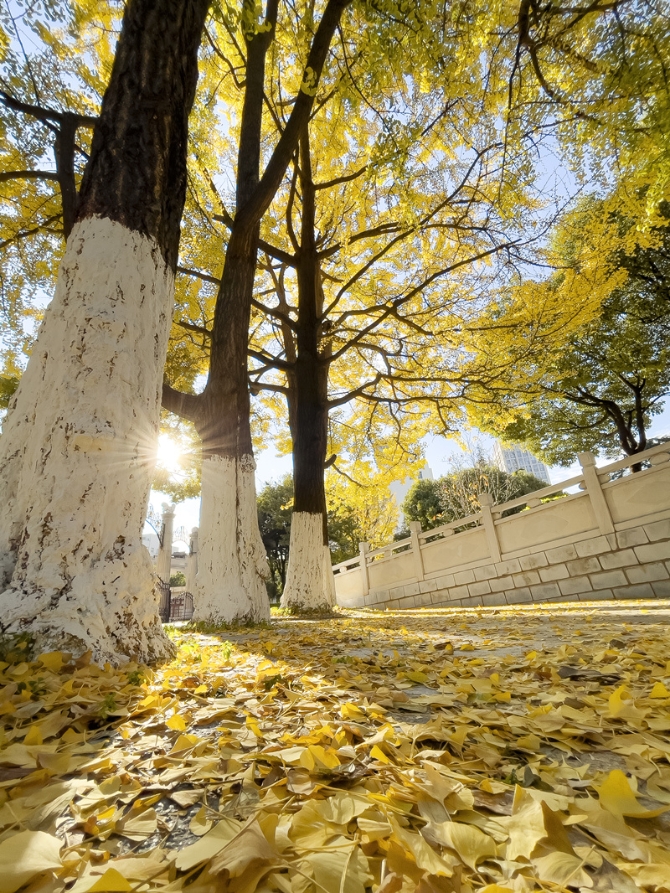 微信图片_20211203141155_副本