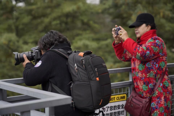 057e5890ff9edece5619bfaa2eb57a2f 057e5890ff9edece5619bfaa2eb57a2f