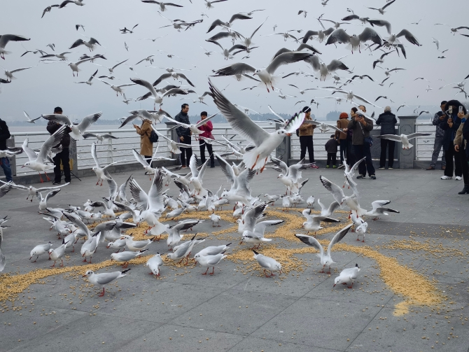 2021120615193817DPRS