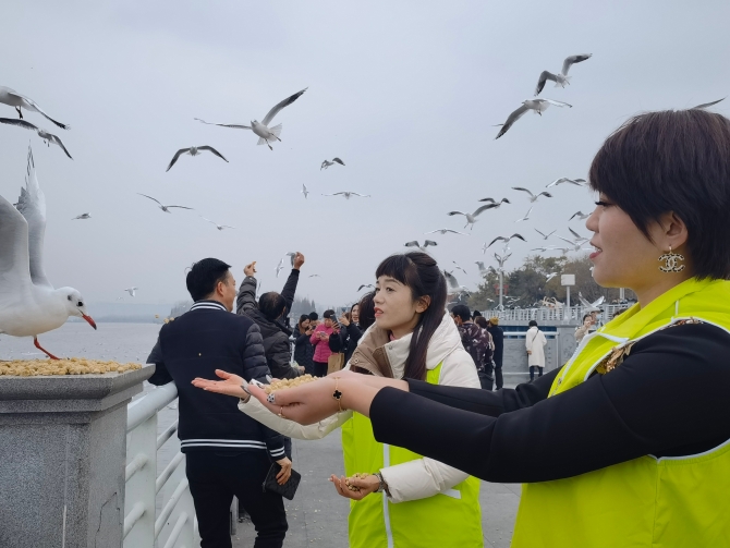 20211206151934EEJ02E