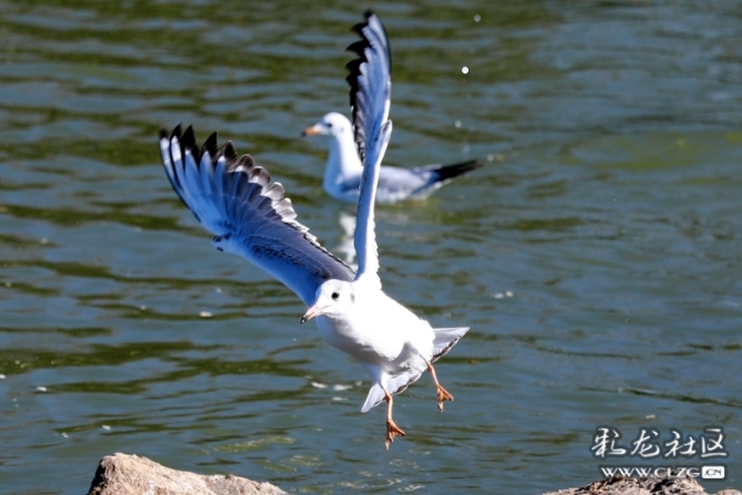 16388695868116066590568536201_194733