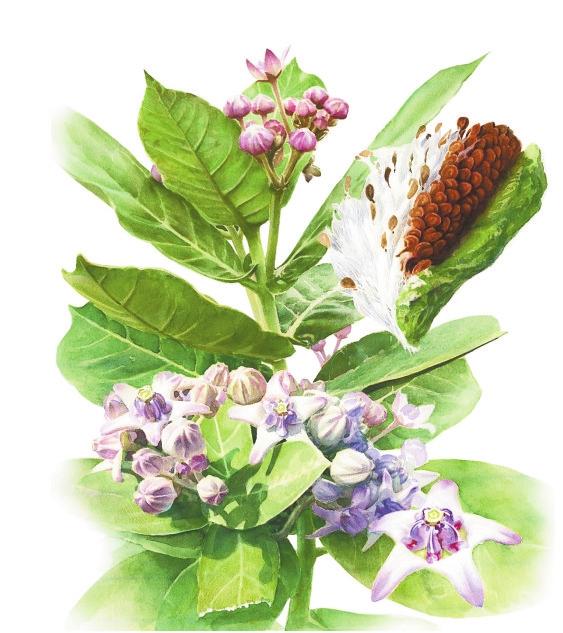 微信图片_20211213093248 微信图片_20211213093248