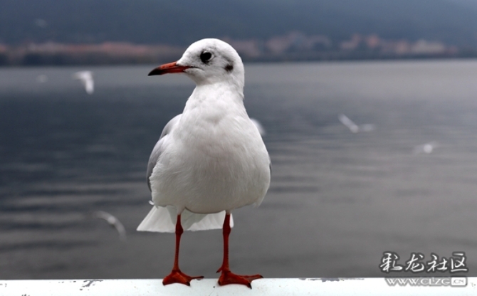 yug22zfquke yug22zfquke