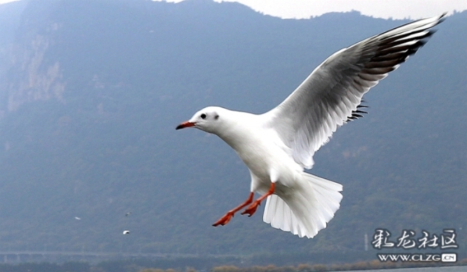 ypzxwe1j4xh ypzxwe1j4xh