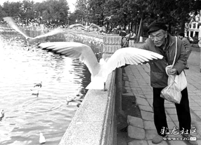 hmtu3db366v hmtu3db366v