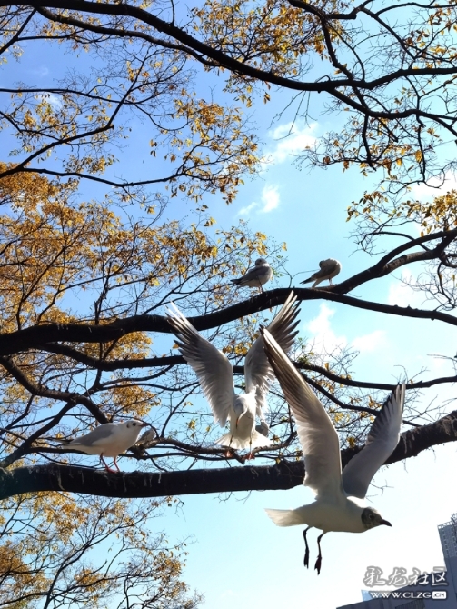 2tw5636452t 2tw5636452t