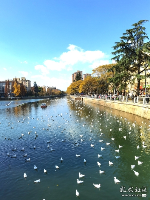 acukb5zsuzl acukb5zsuzl