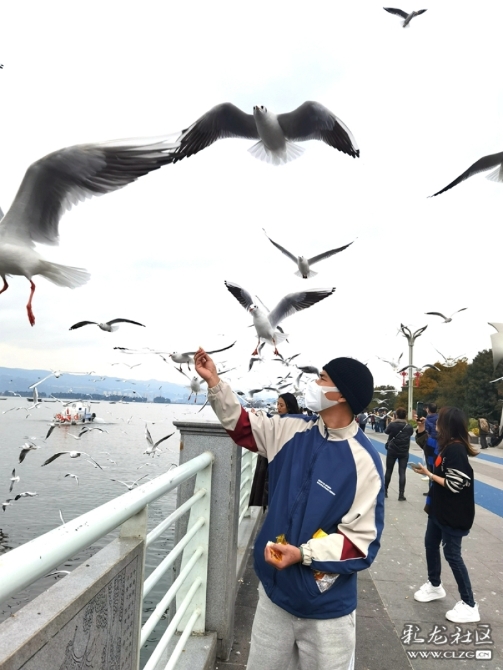 g3c04zy489i g3c04zy489i