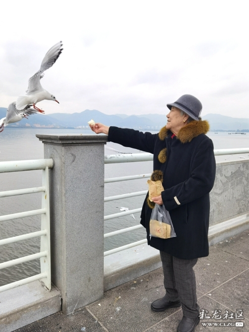 ygn6dwg7qmf ygn6dwg7qmf