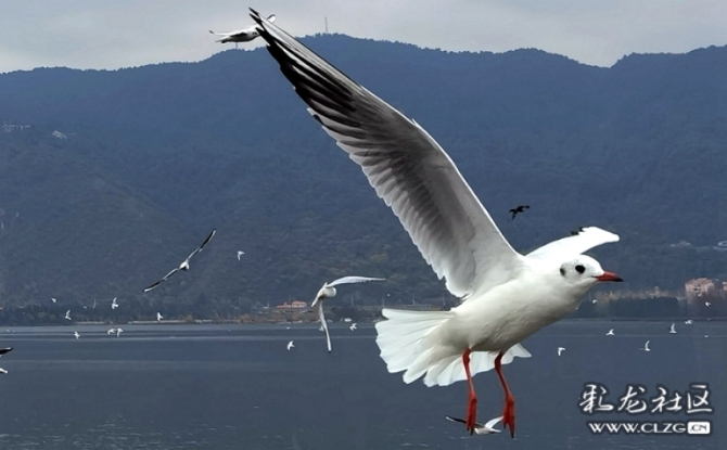 vvtmkb52ou vvtmkb52ou