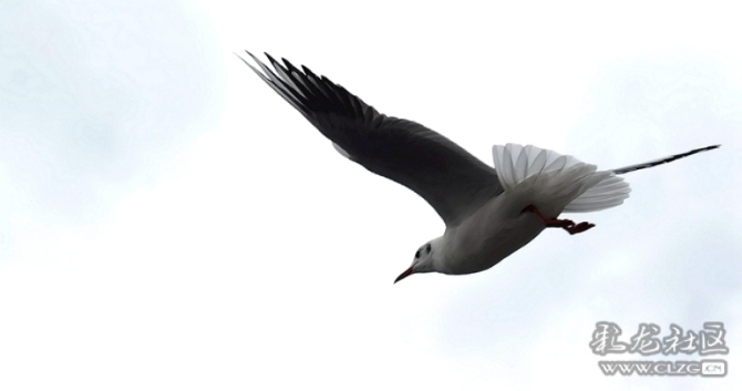 s0bmpizc4cs s0bmpizc4cs