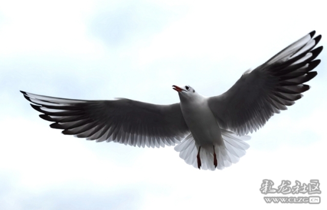 wqculjaiusj wqculjaiusj