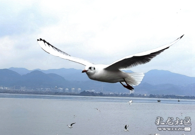 2p0mmjtq9pz 2p0mmjtq9pz