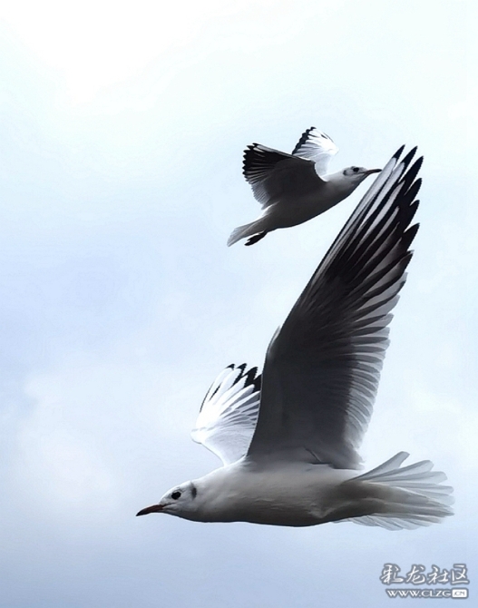 h0ogf8hiwbr h0ogf8hiwbr