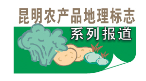 31861640023943171 31861640023943171