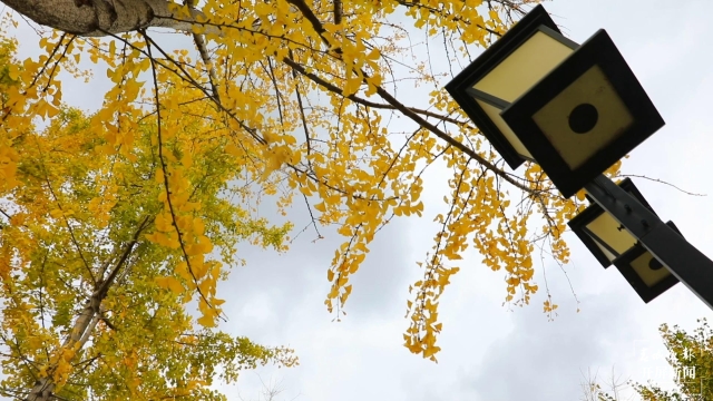 开屏策划|冬至云南—保山施甸(开屏新闻记者及通讯员 摄)