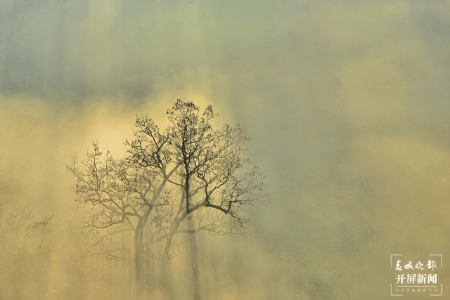 开屏策划|冬至云南—保山昌宁雾海(开屏新闻记者及通讯员 摄)