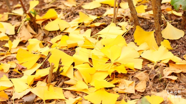 开屏策划|冬至云南—保山施甸(开屏新闻记者及通讯员 摄)