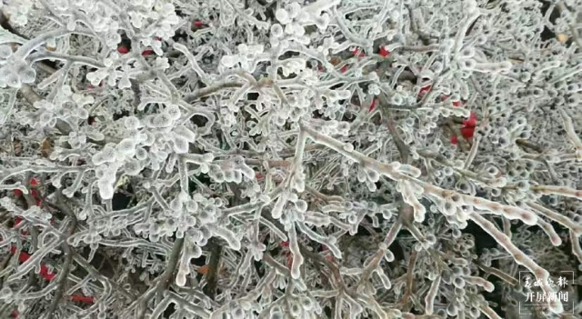 昭通雪景（开屏新闻记者 申时勋 通讯员 白鸟 戴虞梦 陈光惠 摄）