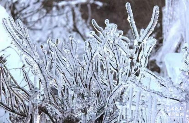 昭通雪景（开屏新闻记者 申时勋 通讯员 白鸟 戴虞梦 陈光惠 摄）