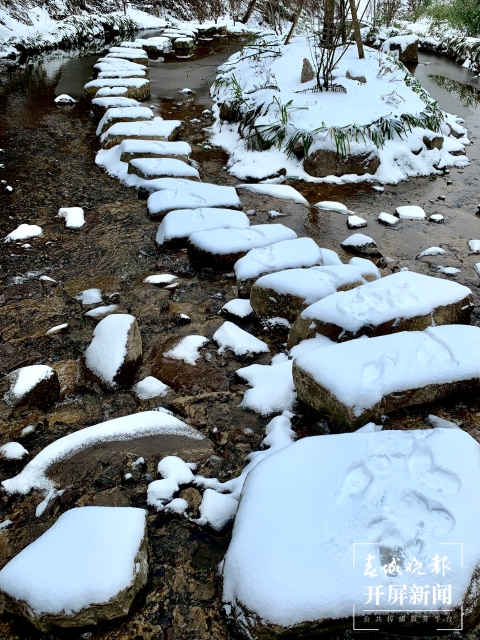昭通雪景（开屏新闻记者 申时勋 通讯员 白鸟 戴虞梦 陈光惠 摄）