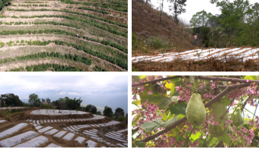 微信图片_20211228175452