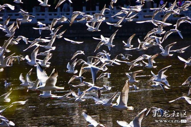 16405235557287913339853236260_5504 16405235557287913339853236260_5504