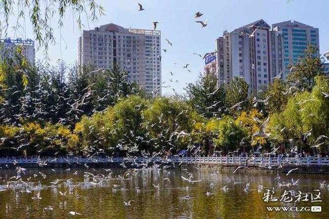 16405235555200863074723613910_5504 16405235555200863074723613910_5504