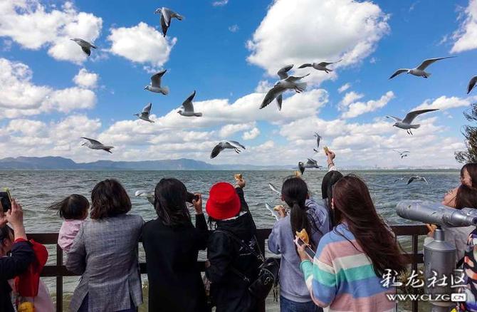 16405235558043653805667048749_5504 16405235558043653805667048749_5504