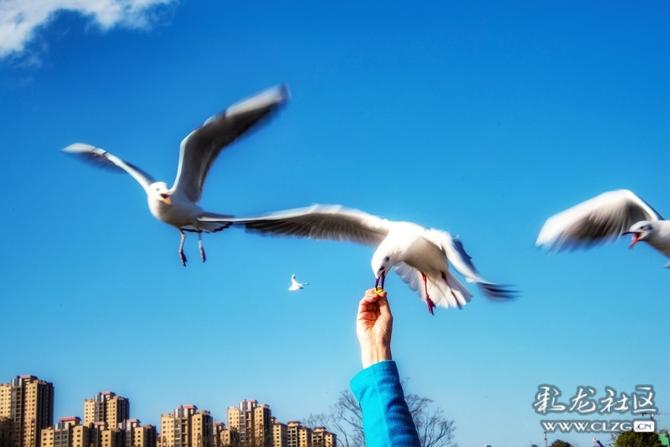 16405302486116835516465398958_5504 16405302486116835516465398958_5504