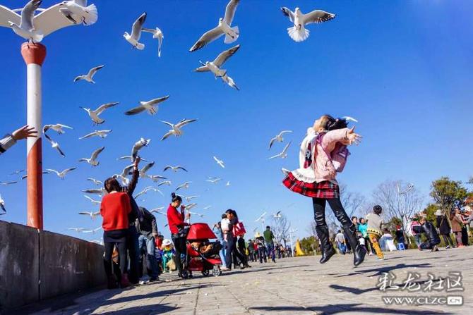 16405302485240696095025331677_5504 16405302485240696095025331677_5504